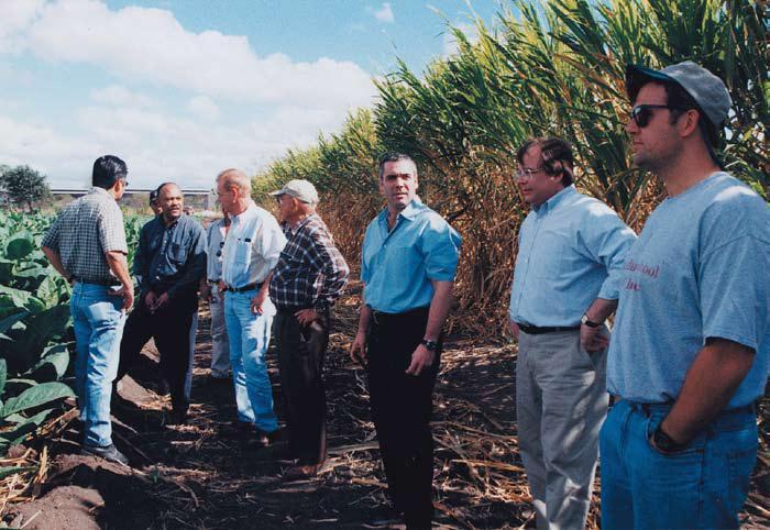 Ребята из NATSA, Oliva Tobacco и General Cigar проверяют урожай семян Havana на плантации Olivas La Joya в Эстели, Никарагуа.