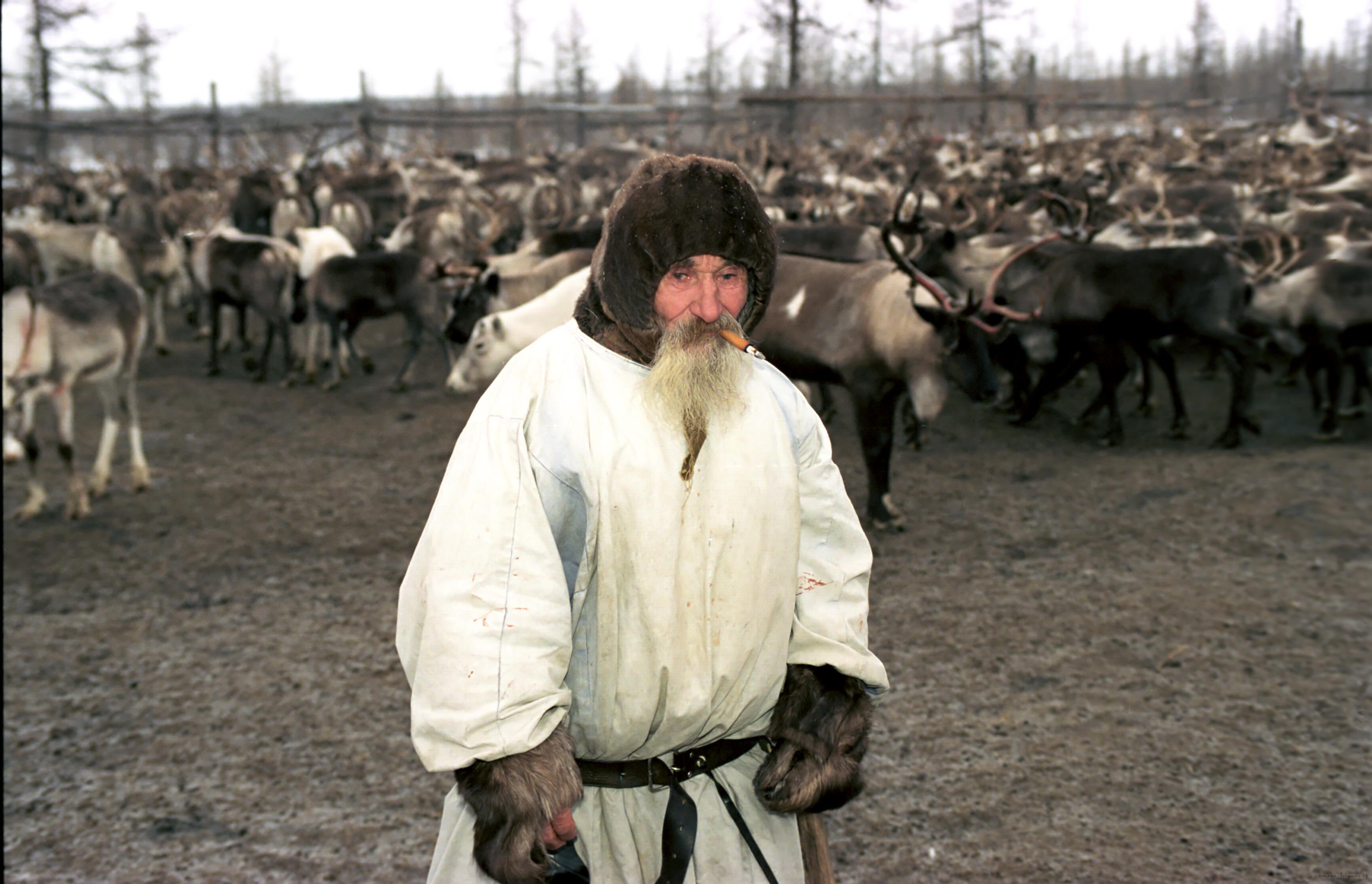 калмыки в обмен на русский товар предлагали рогатый и вьючный скот, свои сласти и китайский табак