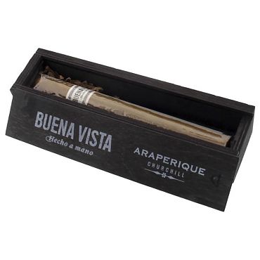 Buena Vista Araperique Churchill