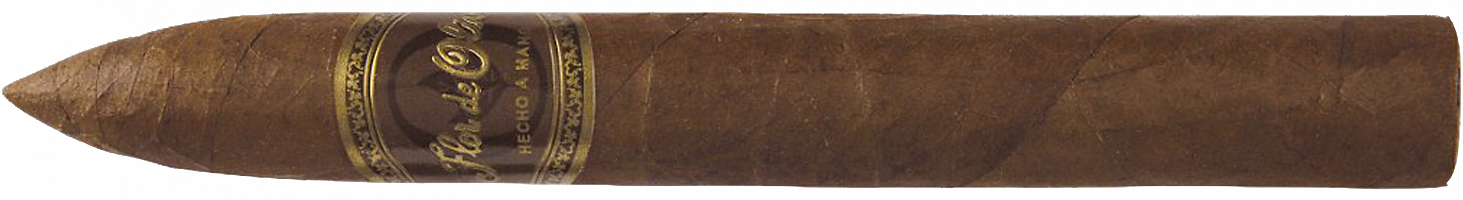 Flor De Oliva Torpedo