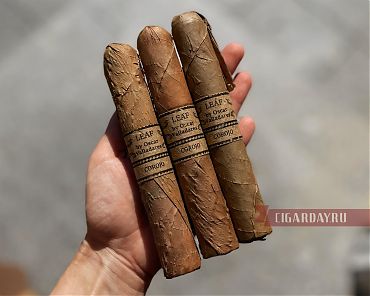Leaf by Oscar Valladares Corojo Sixty