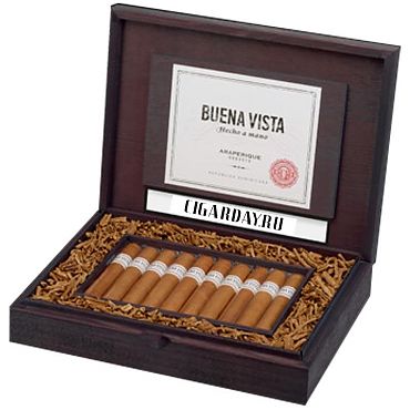 Buena Vista Araperique Robusto