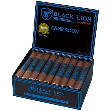 La Aurora Black Lion Cameroon Toro