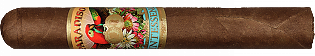 Paradiso Quintessence Robusto