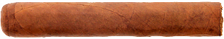Flor del Sol Robusto
