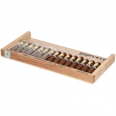 Cavalier BII Viso Jalapa Tempura