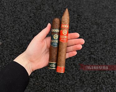 Plasencia Special Edition 2024 Year of the Dragon Torpedo