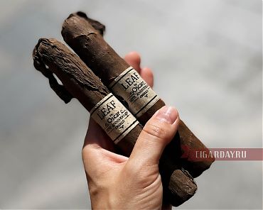 Leaf by Oscar Valladares 10th Anniversary Criollo Sixty