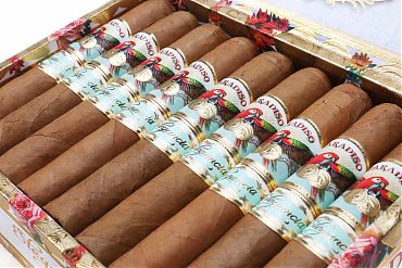 Paradiso Elegancia Robusto