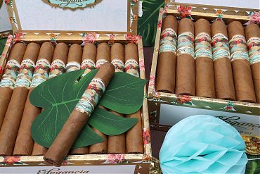 Paradiso Elegancia Robusto