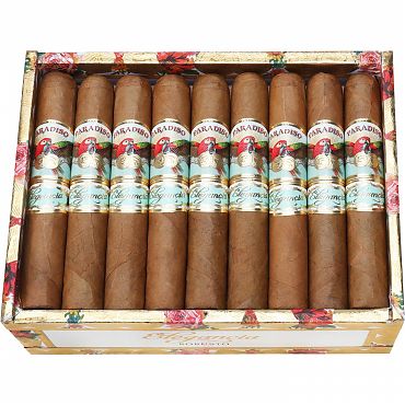 Paradiso Elegancia Robusto