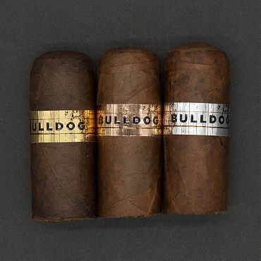 Bulldog Maduro