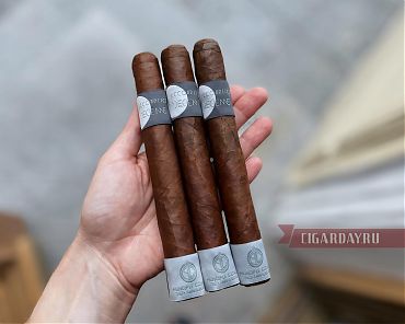 PRINCIPLE CIGARS Accomplice Decienne