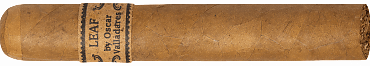 Leaf by Oscar Valladares Connecticut Robusto