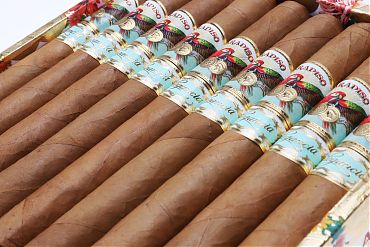 Paradiso Elegancia Churchill