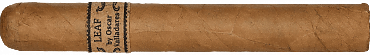 Leaf by Oscar Valladares Connecticut Toro