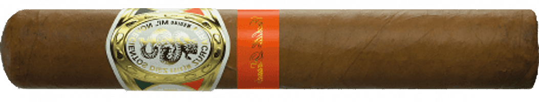 CASA 1910 Revolutionary Edition Cuchillo Parado Robusto