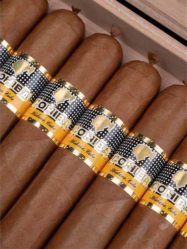 Cohiba Ambar