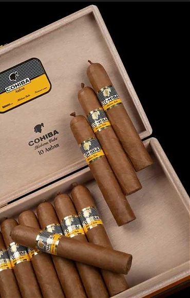 Cohiba Ambar