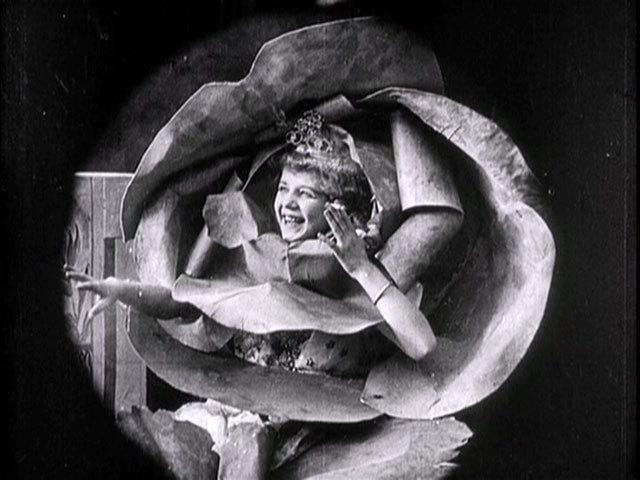Princess Nicotine; or, the Smoke Fairy («Принцесса Никотин, или фея дыма») — пятиминутный немой фильм 1909 года, снятый Джеймсом Стюартом Блэктоном